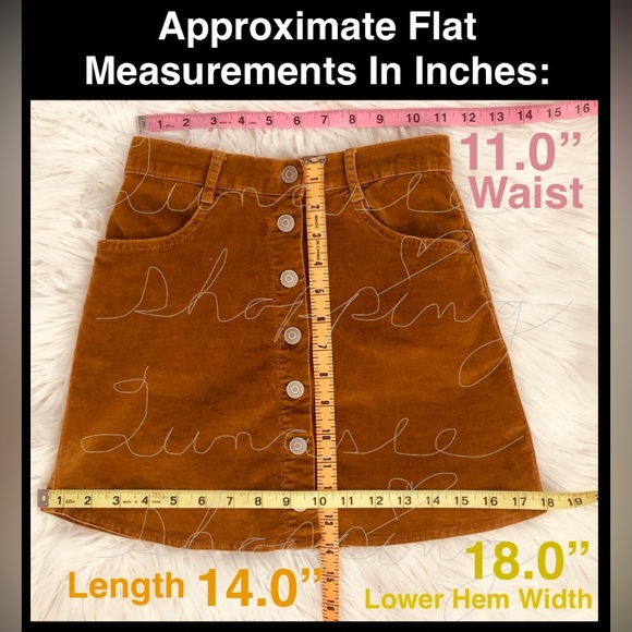 Brandy Melville Skirt; same brand ASO Taylor Swift - Picture 4 of 16